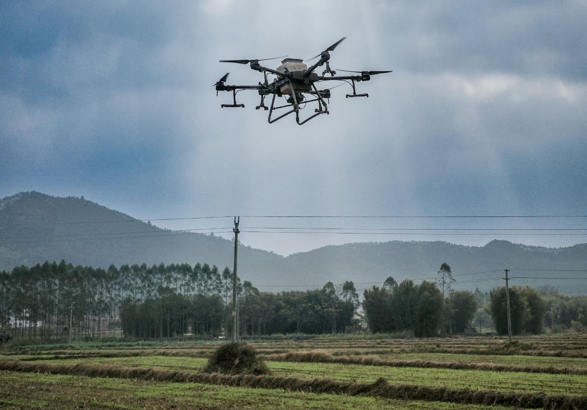 Drones spraying pesticides